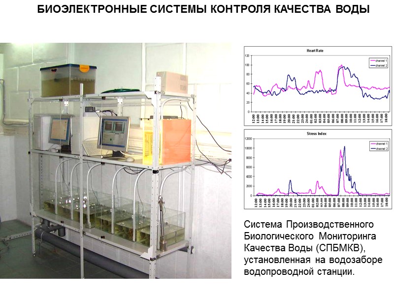 Система Производственного Биологического Мониторинга Качества Воды (СПБМКВ), установленная на водозаборе водопроводной станции. БИОЭЛЕКТРОННЫЕ СИСТЕМЫ